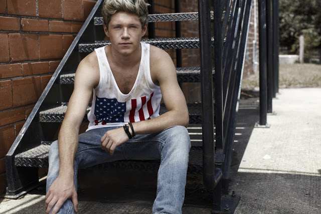 Niall Horan podría ser el primer integrante de One Direction en sacar música como solista