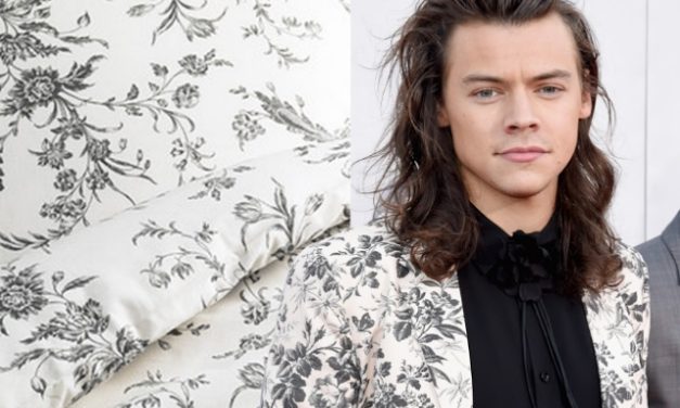 Harry Styles comenzará su carrera como solista