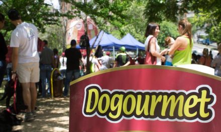 Dogourmet y Alcaldía de El Hatillo inauguraron parque para mascotas en Caracas