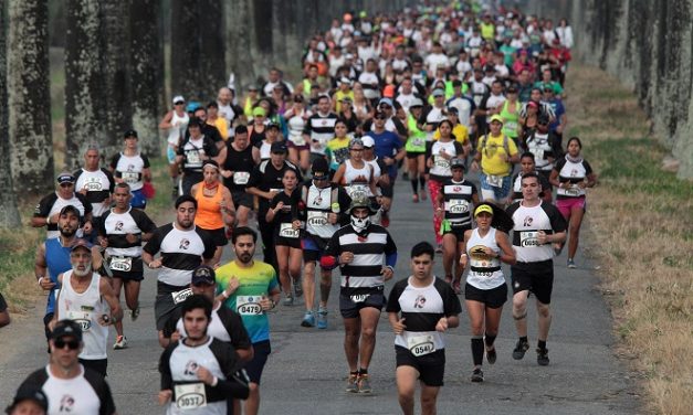 RACE 13K DE FUNDACIÓN SANTA TERESA SERÁ EL 2 DE DICIEMBRE PRÓXIMO
